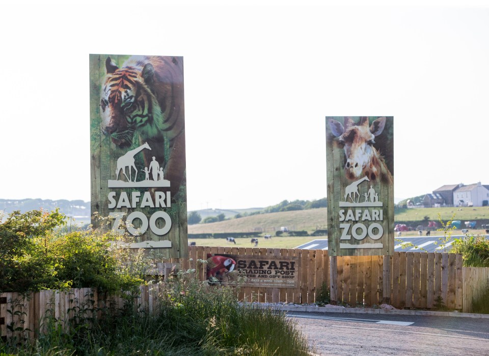 Safari Zoo entrance signs.