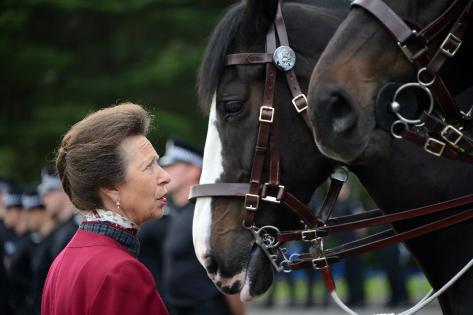 The Princess Royal won three European Championship medals for horseriding