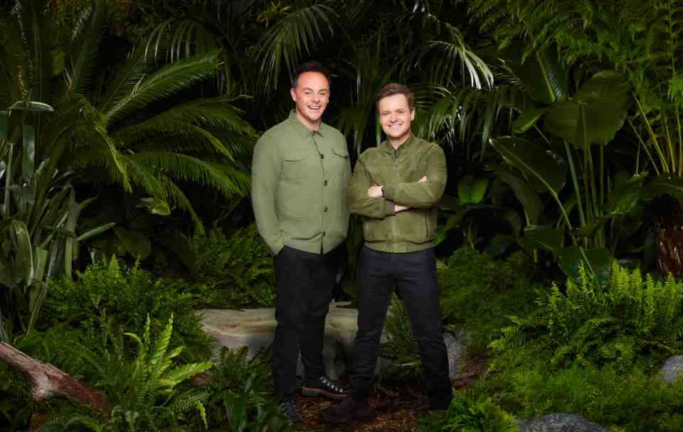 Ant and Dec asked Boy George: 'What would make you do I'm A Celeb?'