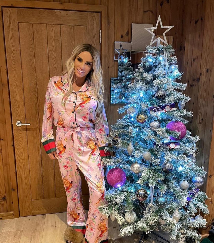 The star shared the snap as she decorated for Christmas