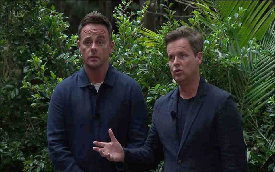 The duo joked about PTSD on I'm A Celebrity