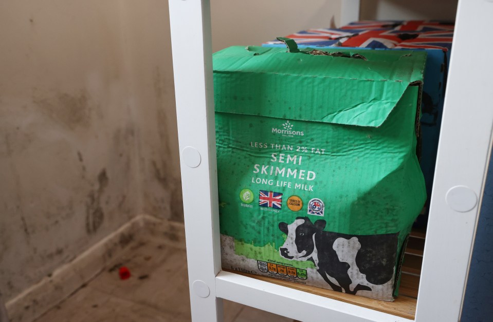 Mould on milk cartons and on the wall in Donna's home