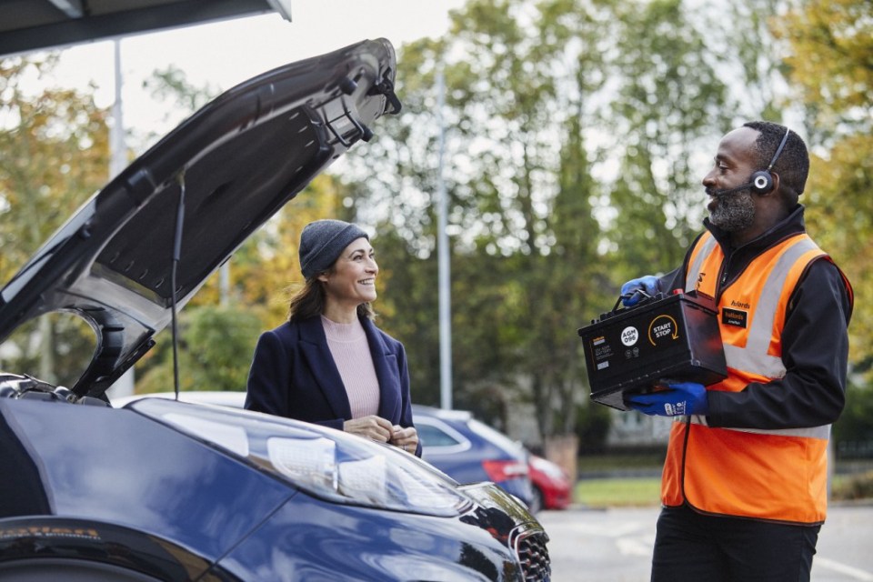 But all Brits can sign up with Halfords and get £10 off their next test