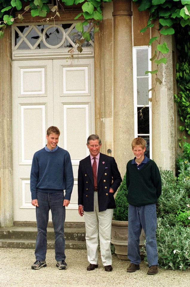 The young Princes allegedly used the house as a party venue at weekends