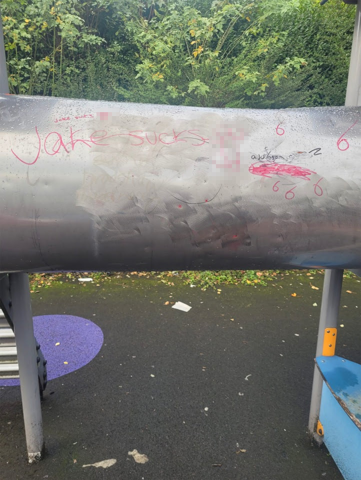 £10,000 has been raised to help solve the problem so kids can use the park again