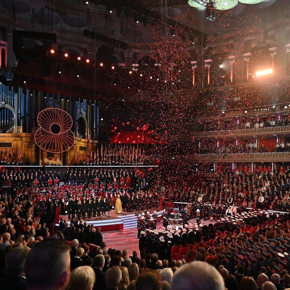 Poppy petals fell during the show in tribute to all victims of war