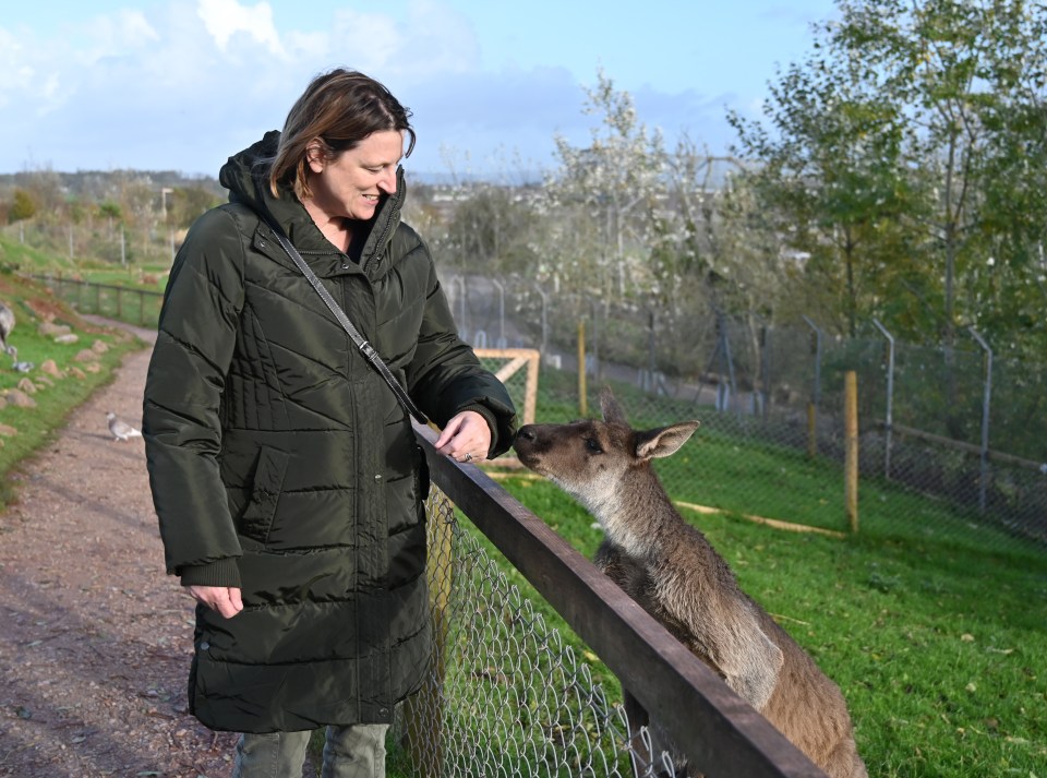 Woman feeding a kangaroo at a zoo.