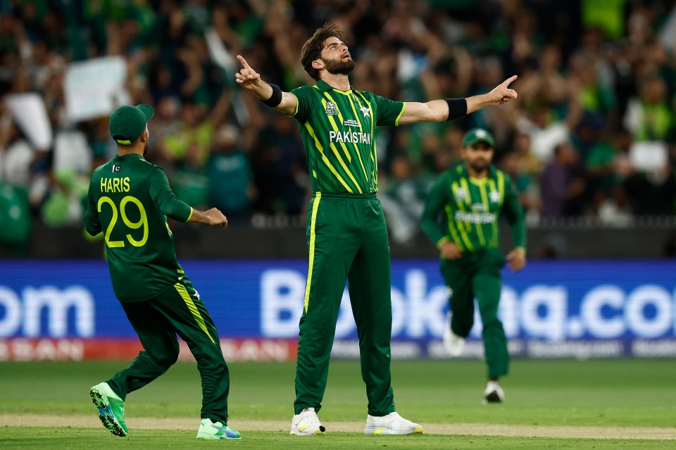 Shaheen Afridi sensationally took the wicket of Alex Hales for just one run but it was not enough