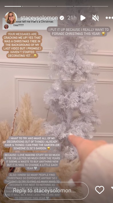 Fans spotted a tree in Stacey's latest video