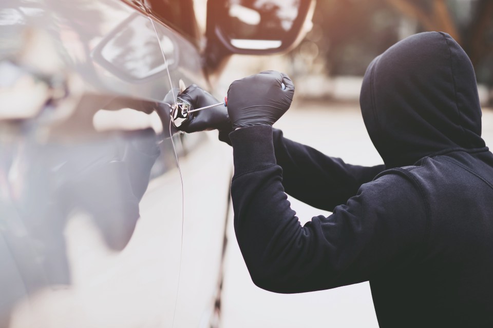 Michael Fraser has given his top tips to stop would-be criminals from targeting your motor