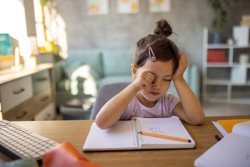 Turns out homework isn't enjoyable for pupils and teachers alike