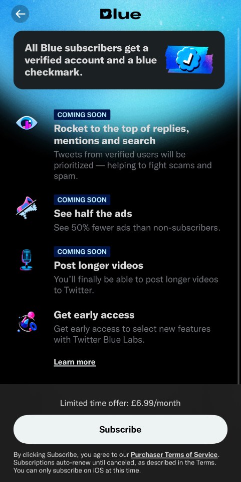 This is what the sign-up page for Twitter Blue looks like