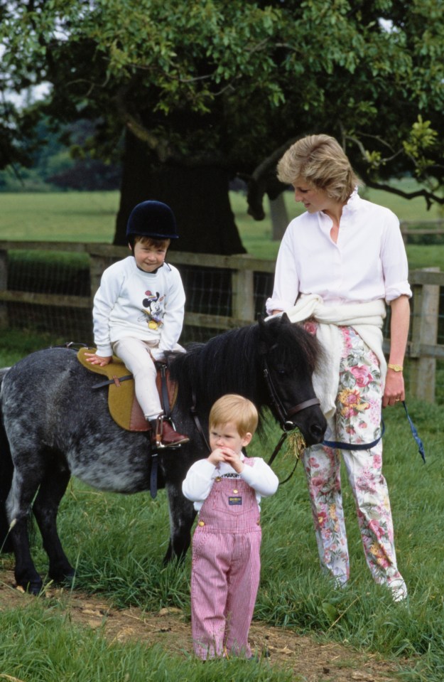 Highgrove House has been the King's main home, where he and Princess Diana predominantly brought up their sons