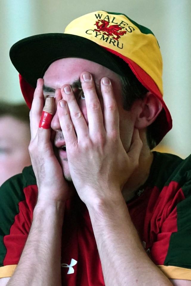 A dejected Wales fan put his head in his hands as Rob Page's side fell behind