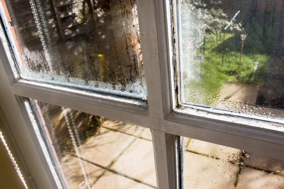 A property expert has revealed an easy way to remove condensation from windows