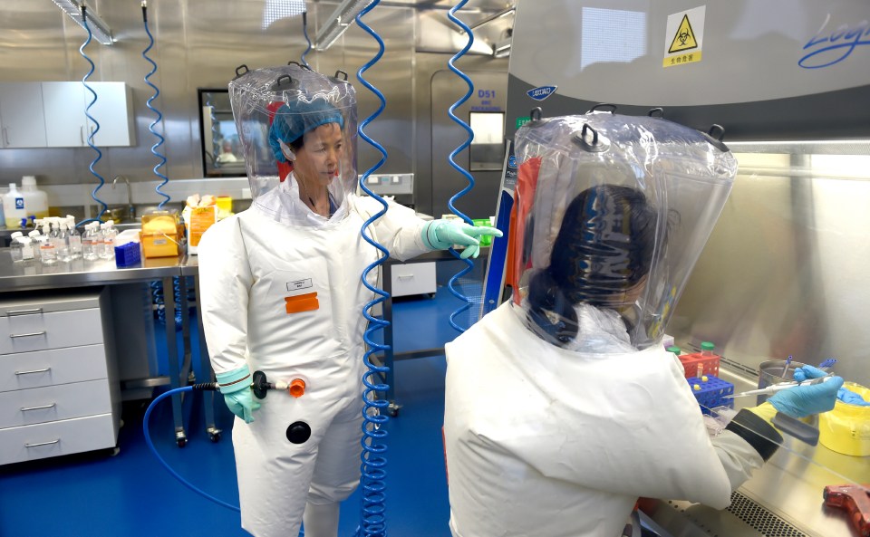 Batwoman Shi Zhengli at a lab at the Wuhan Institute of Virology