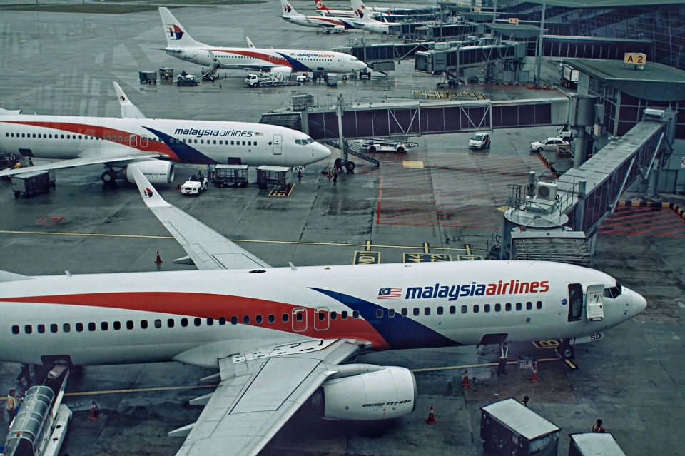 The Malaysia Airlines plane disappeared nine years ago and despite extensive searches, has never been found