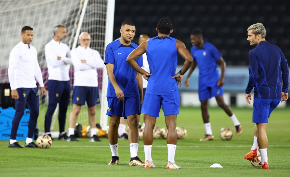 The France squad has been hit with a sickness bug