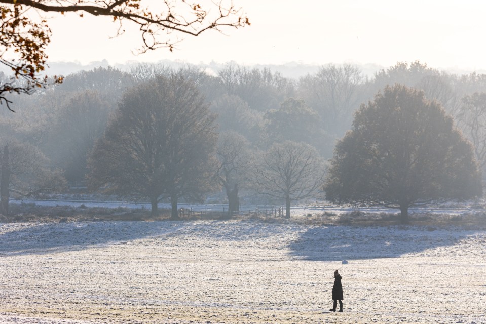 A walker takes a frosty stroll across Richmond Park in London