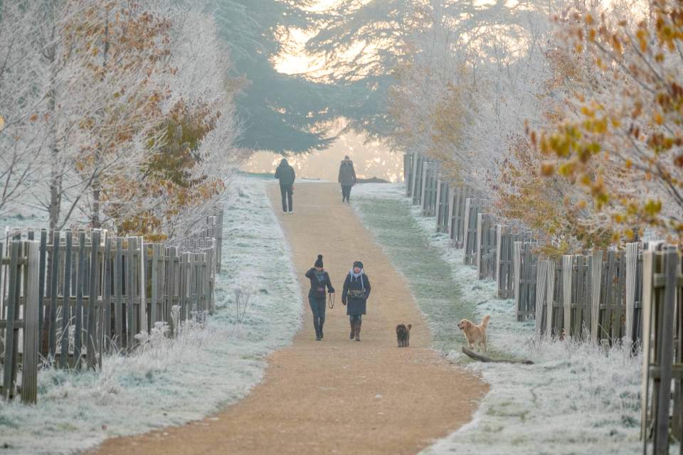 It's been frosty in Richmond in recent days - and there's more to come