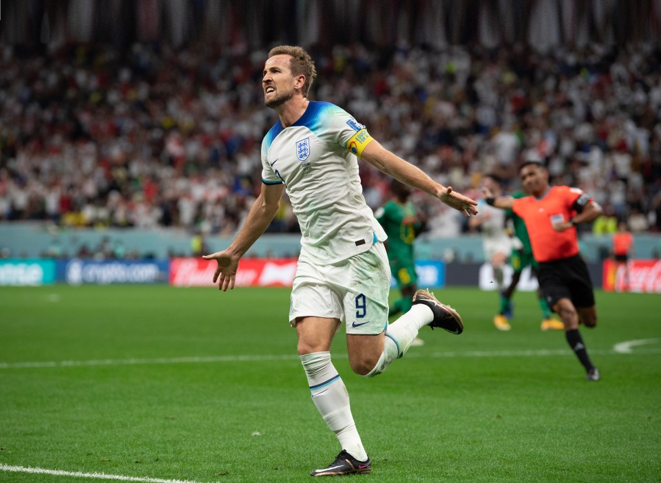 Harry Kane scored his first goal of the tournament against Senegal