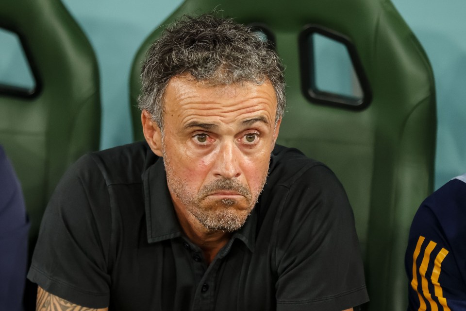 Luis Enrique is no longer Spain manager after taking over in 2019