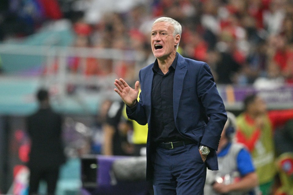 Manager Didier Deschamps says France are taking all necessary precautions