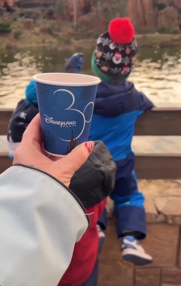 Sue and her family went to Disneyland Paris