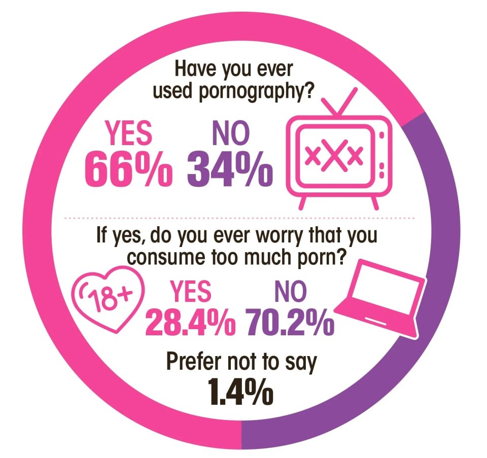 A whopping 66% surveyed admitted to using pornography