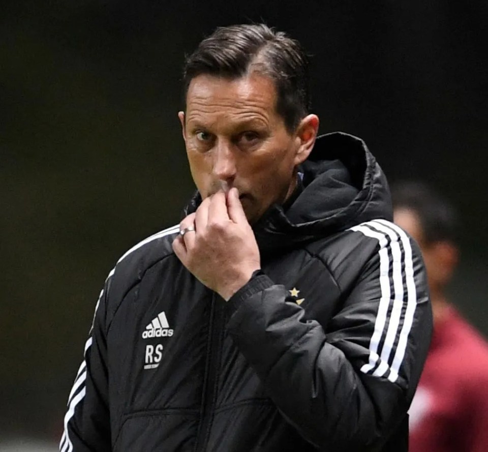 Roger Schmidt may never name Fernandez in a Benfica team again