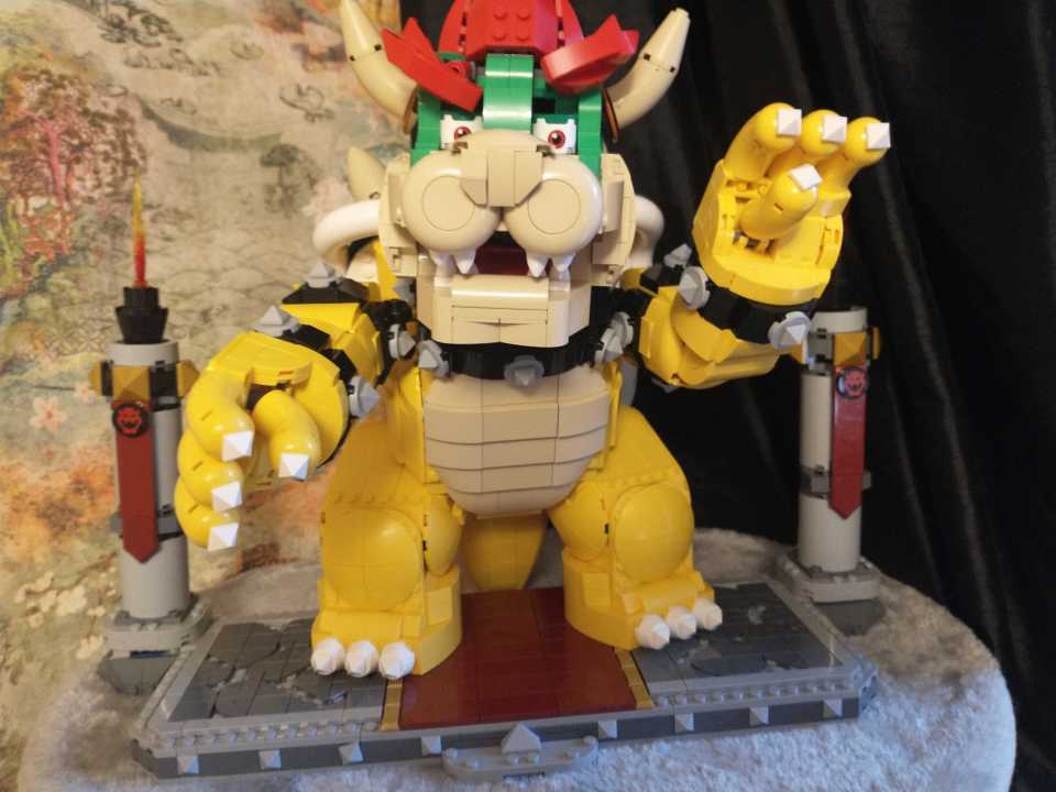 The Bowser model is surprisingly complex.