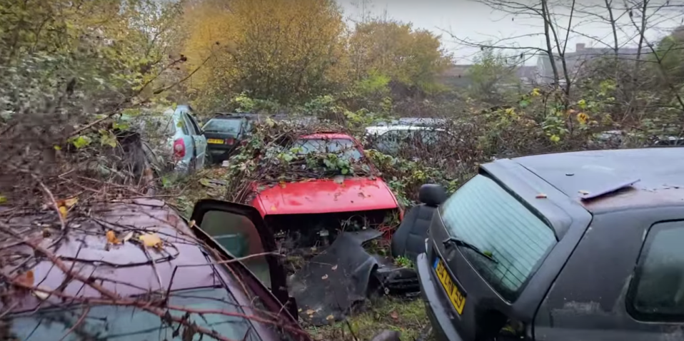 The cars could barely be seen for all the brambles