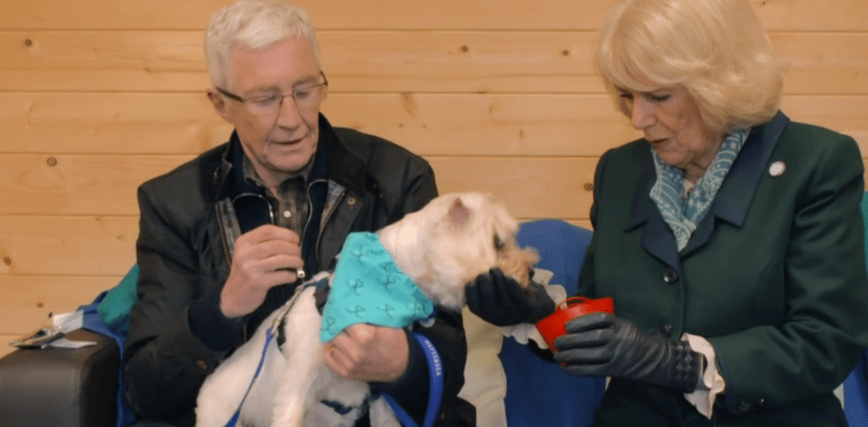 Paul and Queen Consort Camilla chatted about their mutual love of dogs