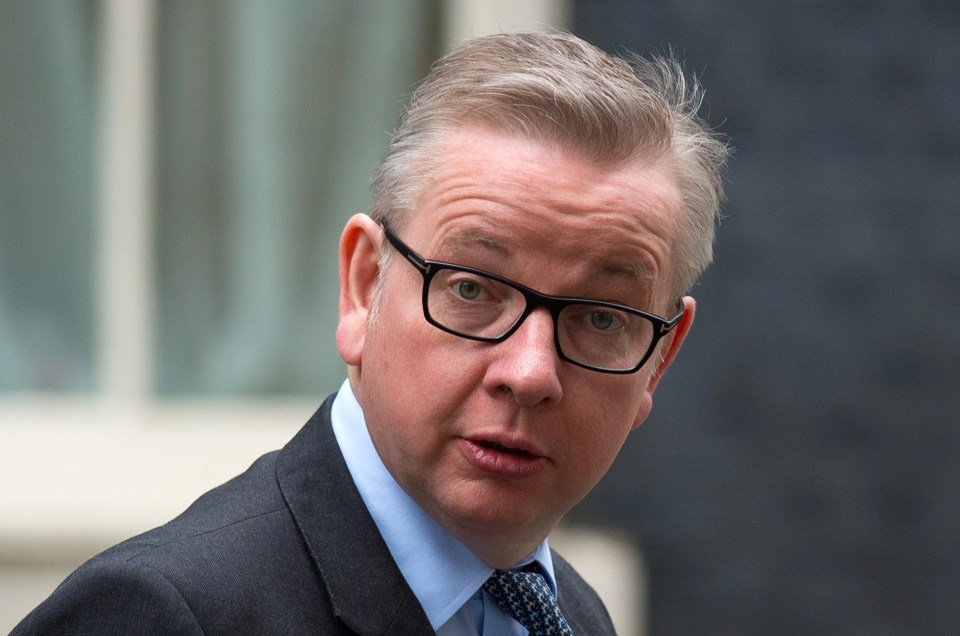 Gove said he expected the blame for the fire to be put on the Government, developers and cladding firms