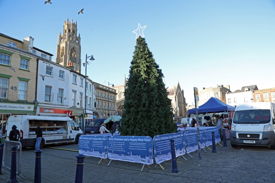 Locals say the council has 'wasted' £20,000 on their Christmas tree