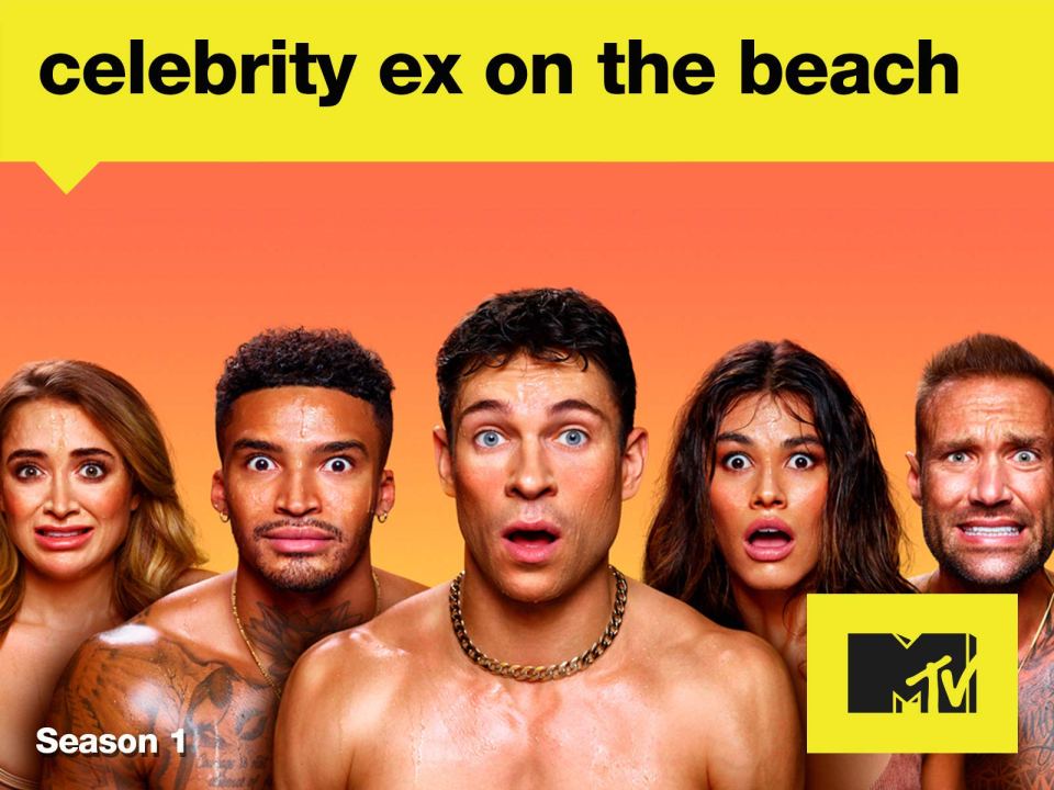 Celebrities have starred on Ex On The Beach in the 2020, 2021, and 2022 seasons