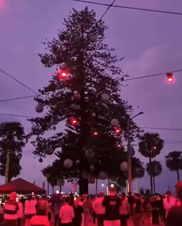 Expectant crowds await the big Christmas tree switch-on