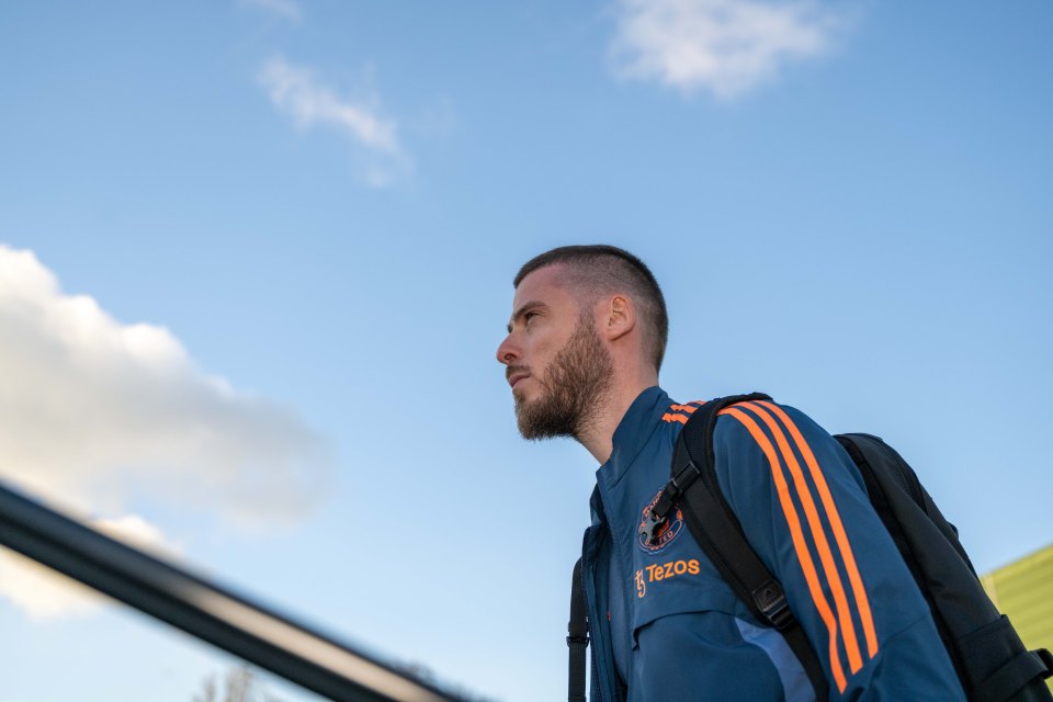 David de Gea was snubbed for the World Cup by Spain boss Luis Enrique