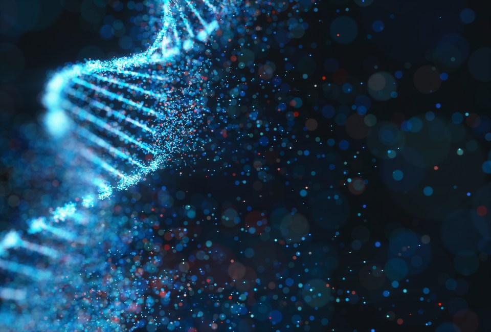 A new way of using DNA to kill cancer cells has raised hopes of finding a cure for the disease