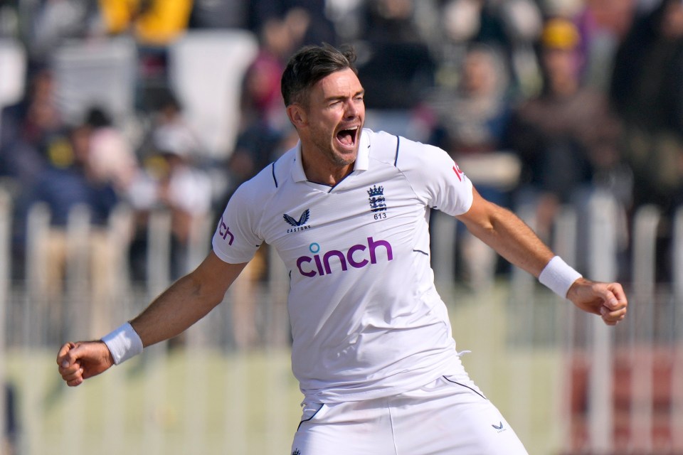 James Anderson delivered the goods with four wickets in the final innings