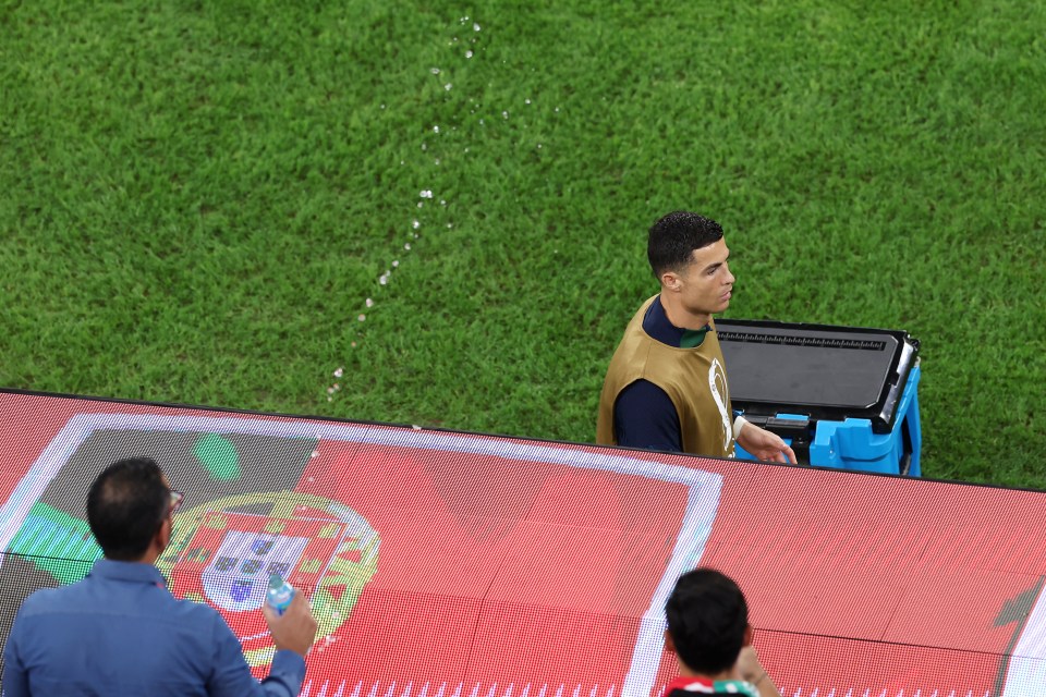 The fan was kicked out during the World Cup quarter-final between Portugal and Morocco