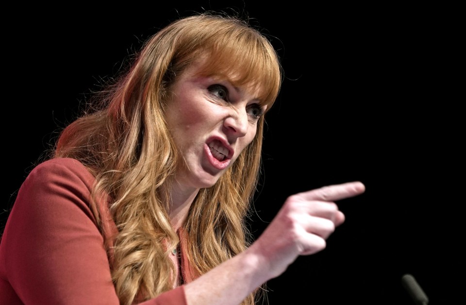 What planet is left-wing firebrand Angela Rayner living on? The Labour Deputy Leader said militant union boss Mick Lynch has been 'incredibly reasonable' during the dispute