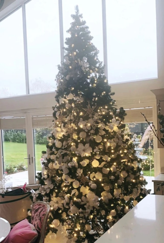 She showed off her incredible Christmas tree to fans