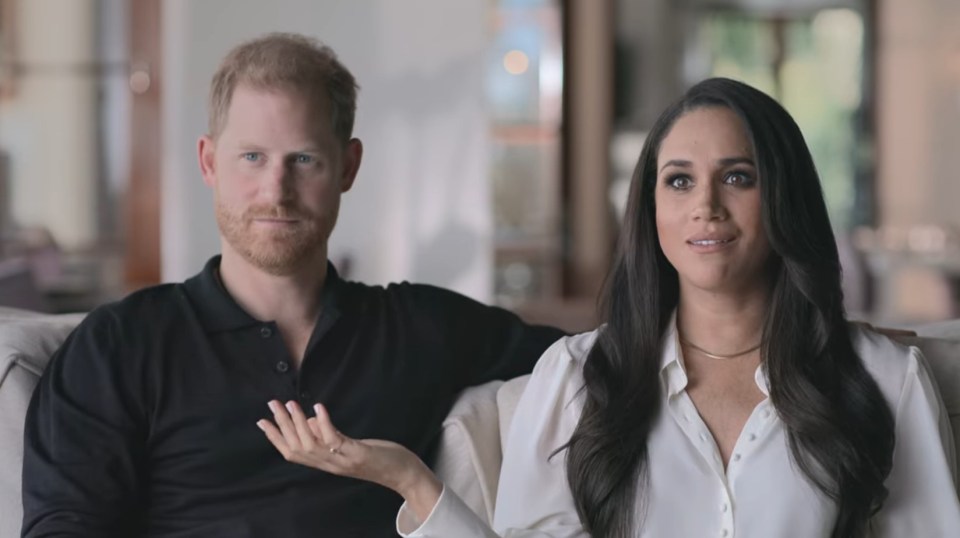 The Sun columnist says his anger at Meghan's 'cynical royal-bashing antics' is nothing compared to what he thinks of Harry’s