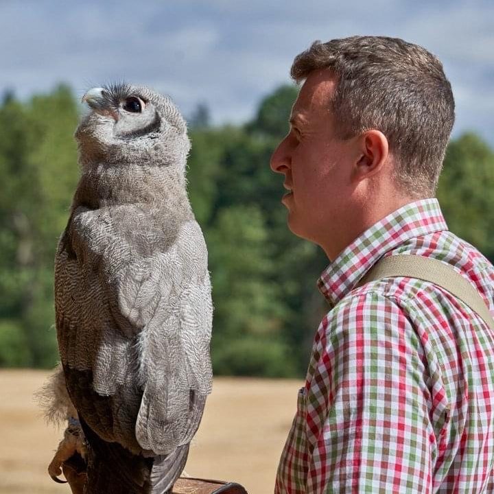 Enjoy bird spotting at the Hawkeye Falconry