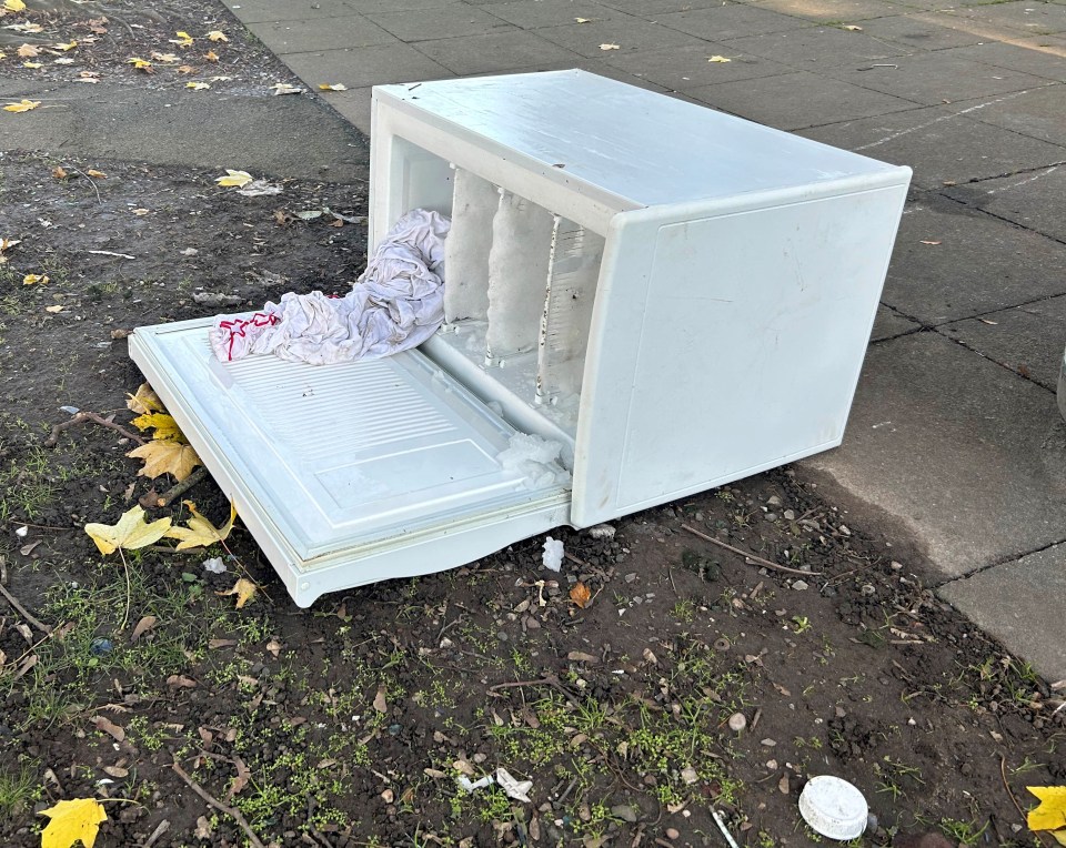 An old fridge is dumped on a verge in Hodge Hill