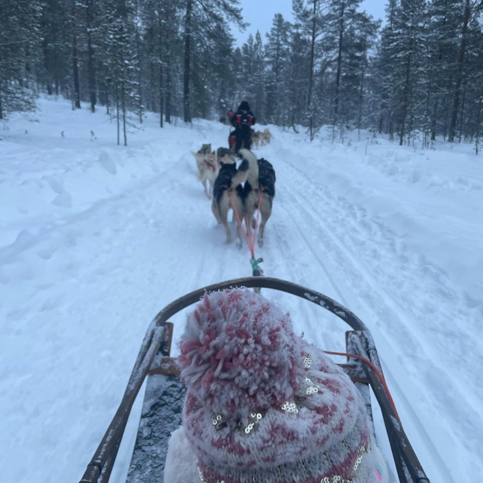 They enjoyed a sleigh ride