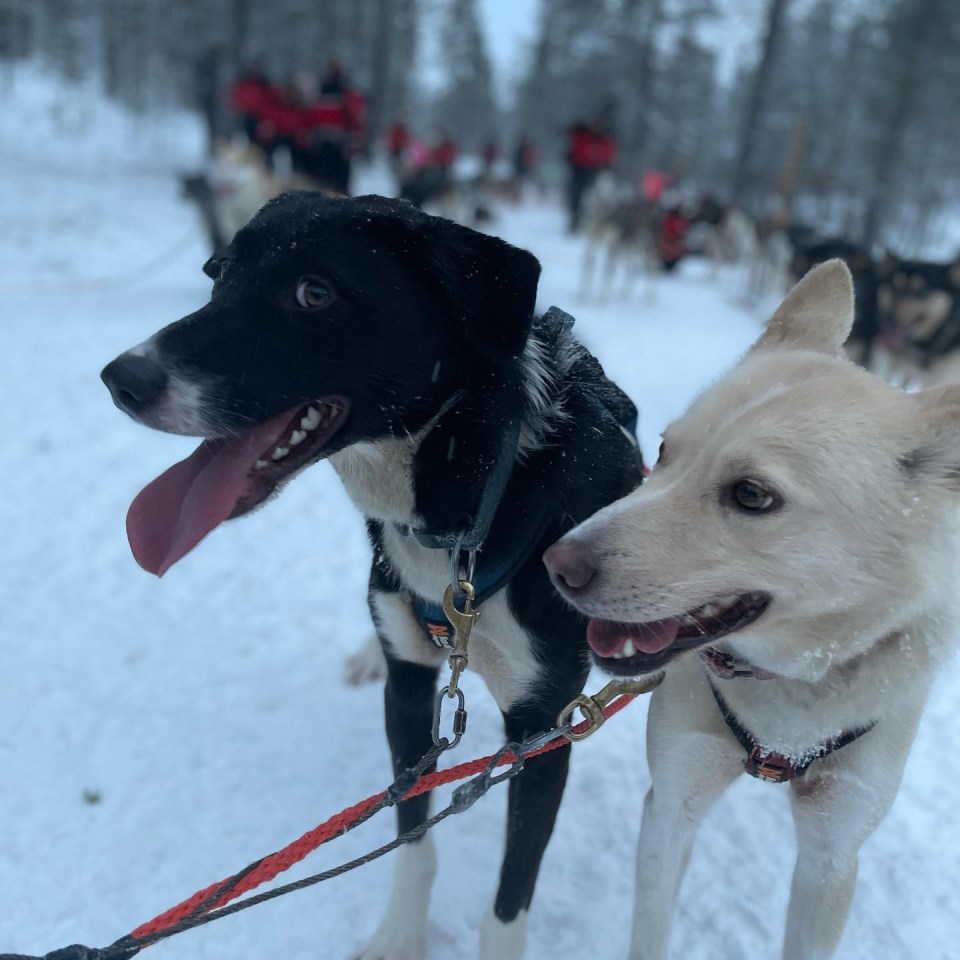 Lorraine swapped Albert Square for some festive fun in Finland