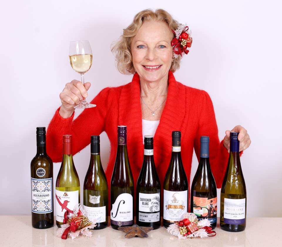 Jilly Goolden talks us through her top 25 whites, reds and fizz