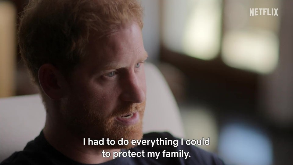 'I had to do everything I could to protect my family', Harry drones on